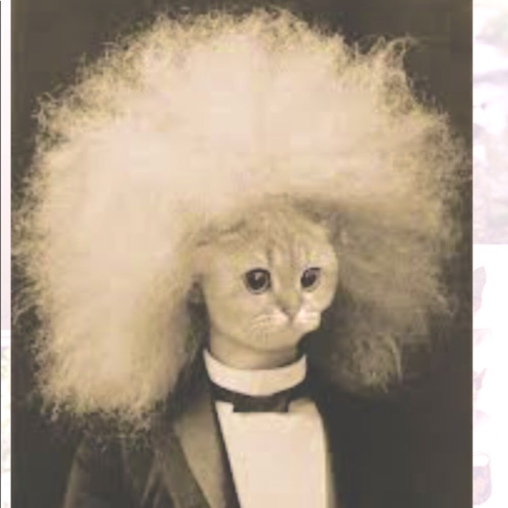 Before you buy, we'd like you to know...